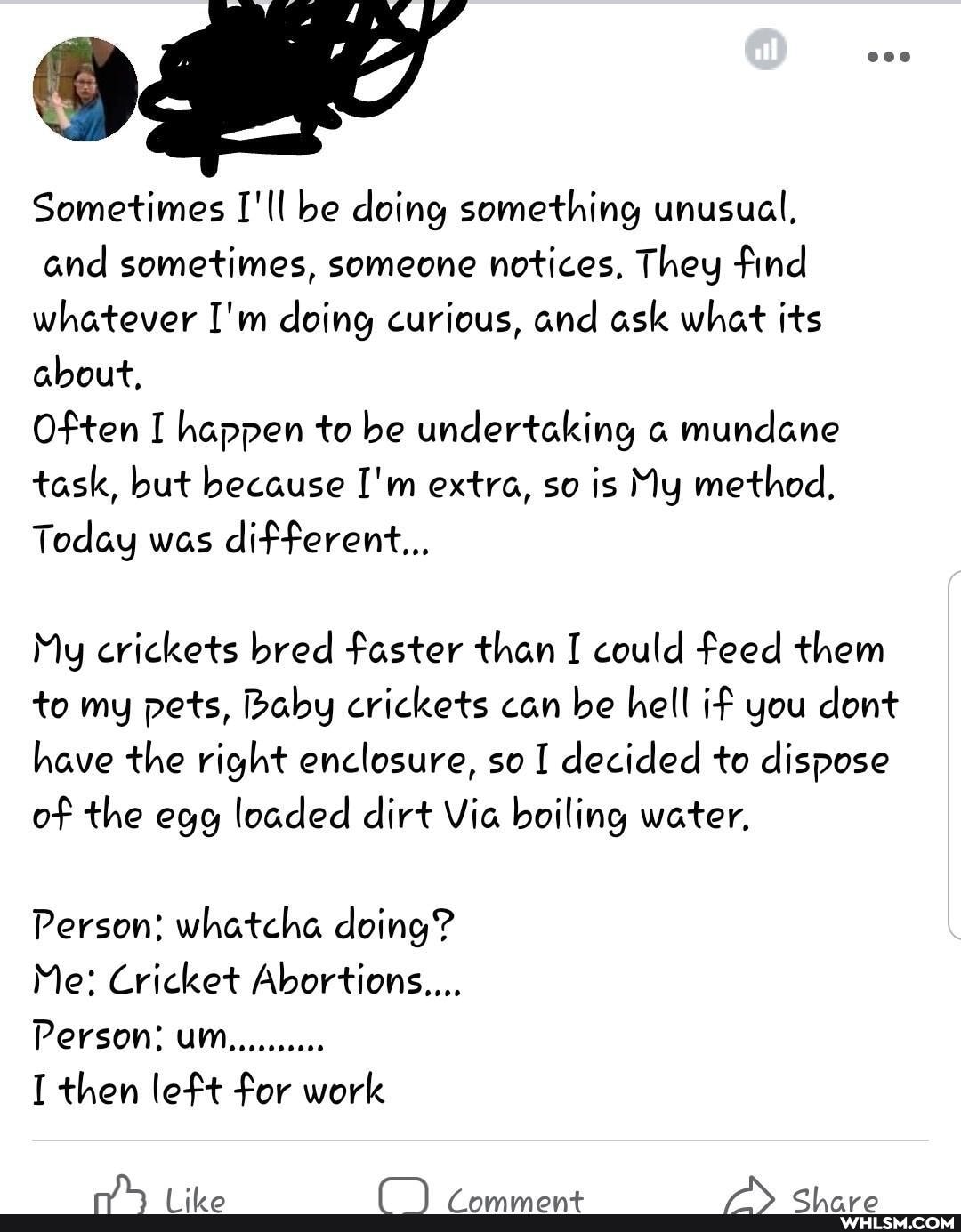 Sometimes I'll be doing something unusual, and sometimes, someone notices, They find whatever I'm doing curious, and ask what its about,
Often I happen to be undertaking mundane task, but because I'm extra, so is My method,
Today was different..,
My crickets bred faster than I could feed them
to my pets, Baby crickets can be hell if you dont have the right enclosure, so I decided to dispose of the egg loaded dirt Via boiling water,
Person: whatcha doing?
Me: Cricket Abortions...
Person: um..........
I then left for work
on
