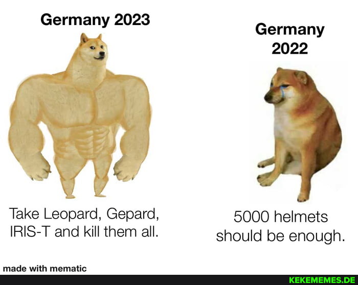 Germany 2023 Germany 2022 Take Leopard, Gepard, 5000 helmets IRIS-T and kill the