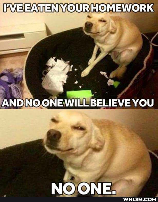 'VEEATEN YOUR HOMEWORK
AND NO ONE WILL BELIEVE YOU
AIO ONE