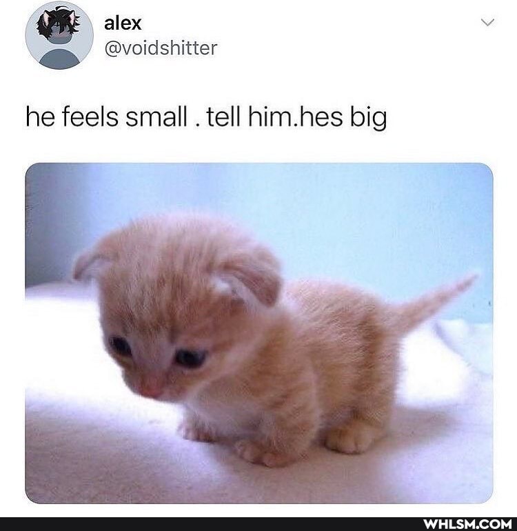 alex
he feels small . tell him.hes big