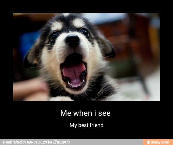 Me when i see
My best friend - Me when i see
My best friend