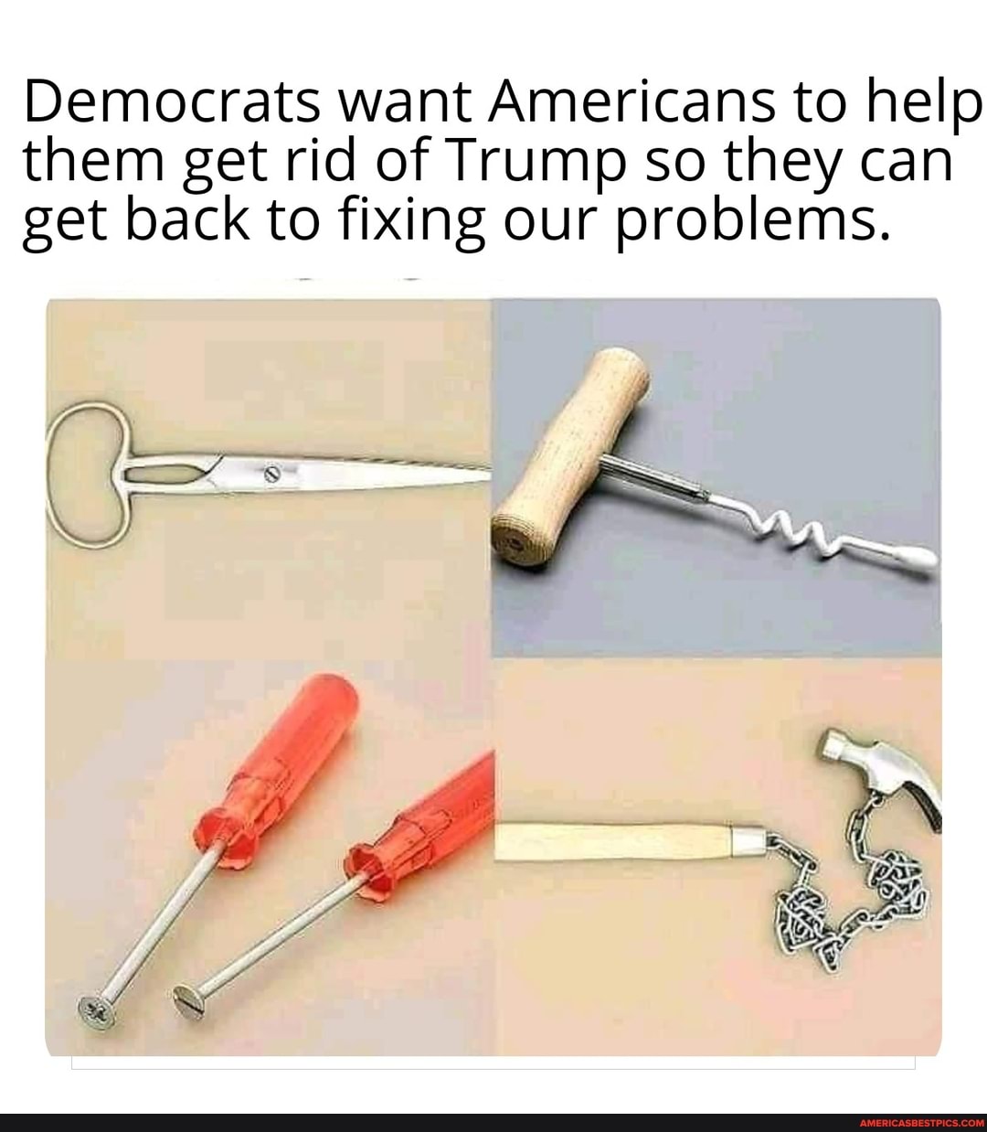 Democrats want Americans to help them get rid of Trump so they can get back to fixing our problems.