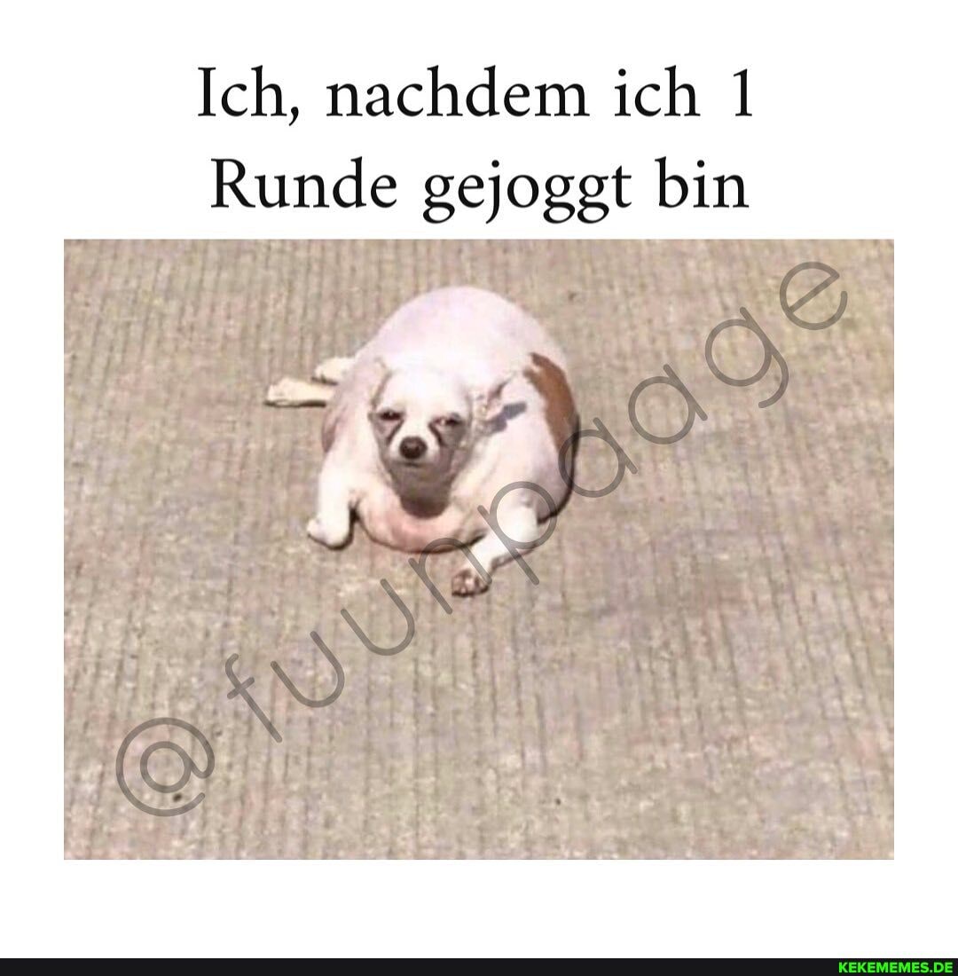 Ich, nachdem ich
Runde gejoggt bin
IN