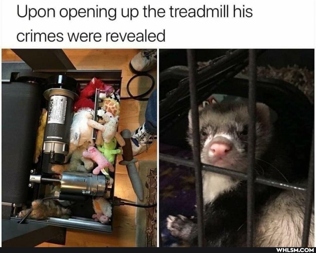 Upon opening up the treadmill his crimes were revealed
