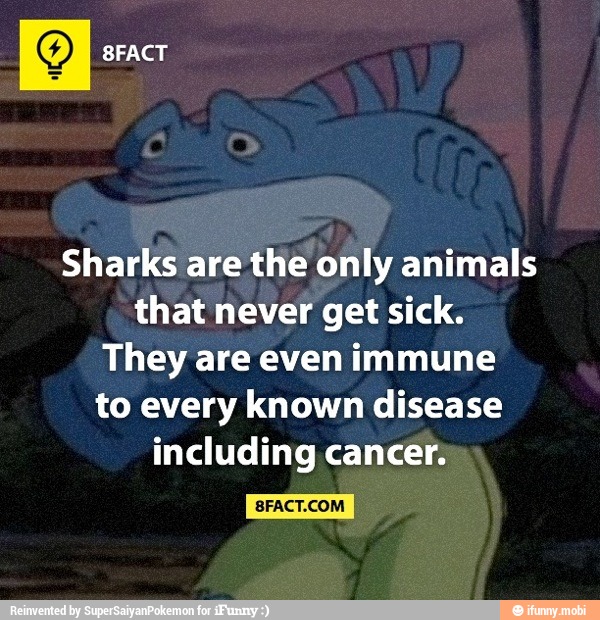 Sharks are the only animals
that never get sick.
They are even immune
to every known disease
including cancer.
I
SFACT.COM
I