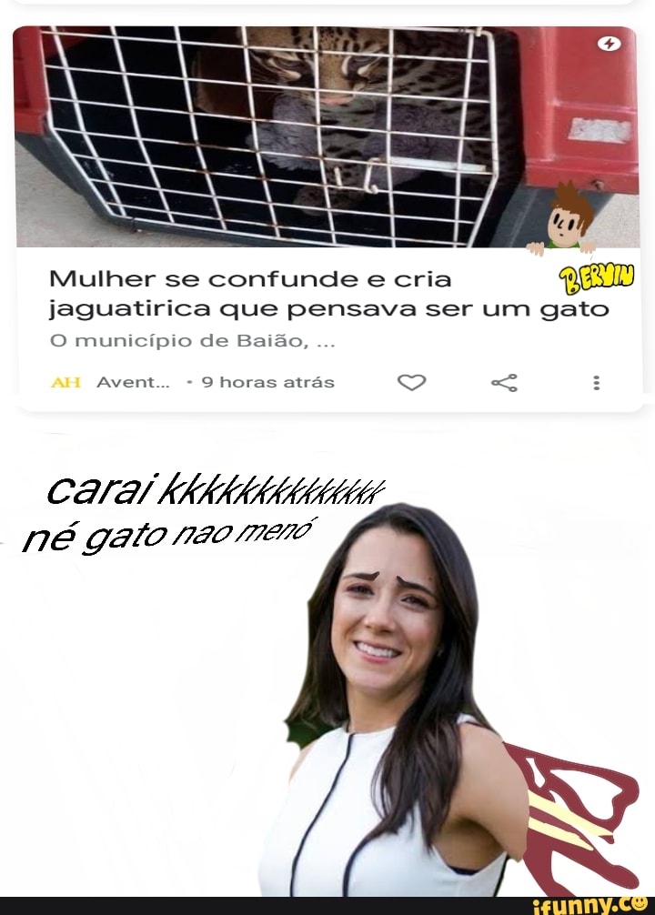 Mulher se confunde e cria jaguatirica que pensava ser um gato
O município de Baião,
AH Avent... horas atrás
Cara né gato rão mero