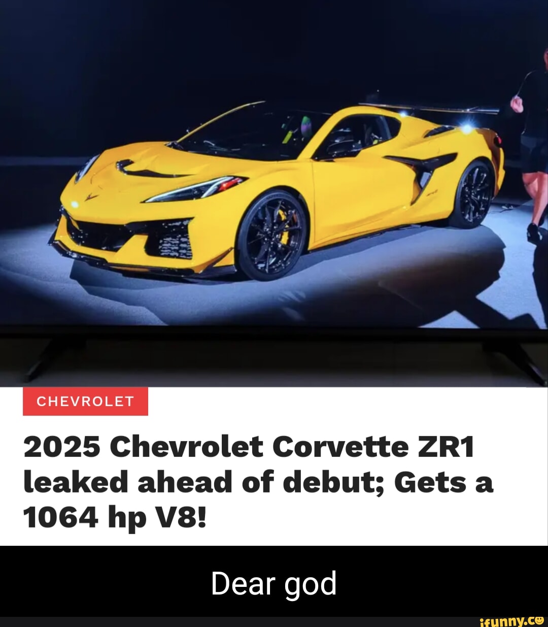 How the hell are sloths not extinct yet? righthandoftyr They aren't