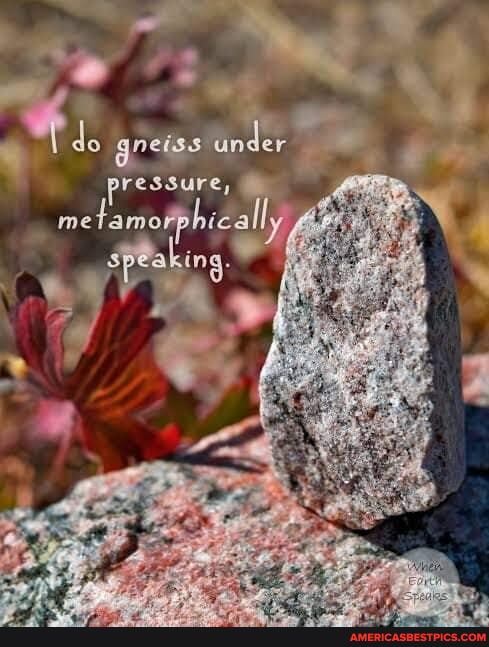 gneiss under und pressure,
me
Speaking.