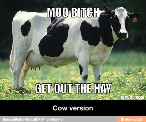 Cow version