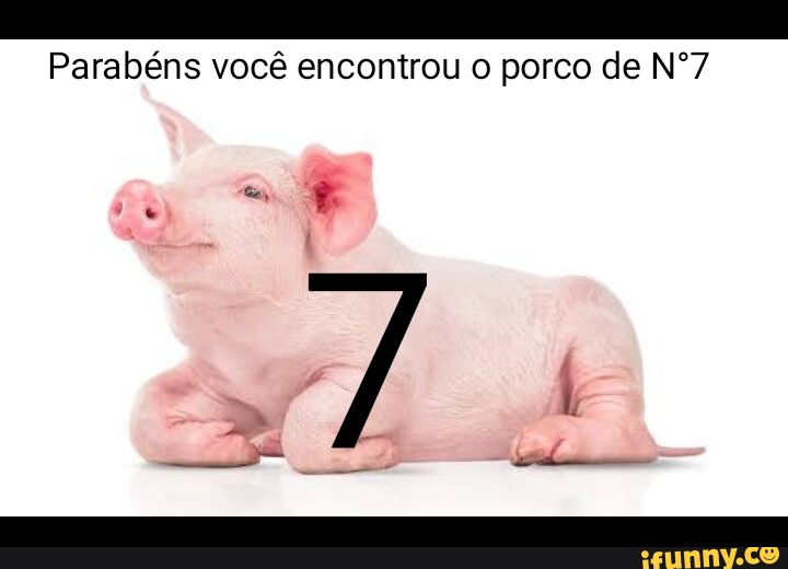 Parabéns Você encontrou 0 John Pork porco número 69 - iFunny Brazil