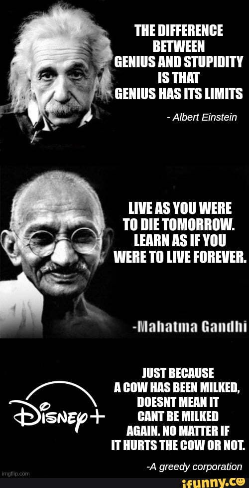 THE DIFFERENCE BETWEEN GENIUS AND STUPIDITY IS THAT GENIUS HAS ITS