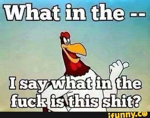 Foghorn leghorn telling how it is - What in the - )