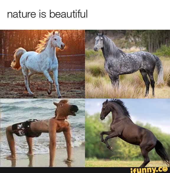 nature is beautiful