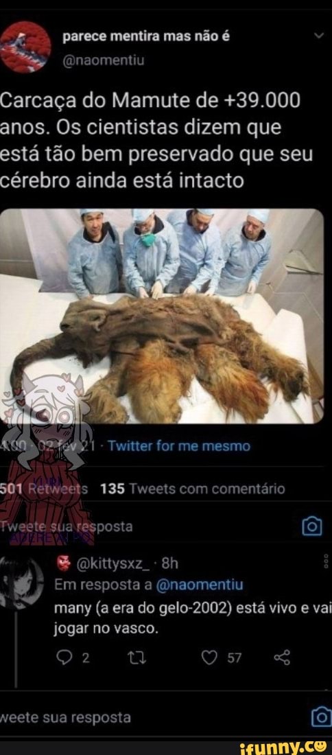parece mentira mas não
Carcaça do Mamute de +39.000 anos. Os cientistas dizem que está tão bem preservado que seu cérebro ainda está intacto
- Twitter for me mesmo
501 Retweets 135 Tweets com comentário
Tweete sua resposta (9)
(kittysxz Bh
Bh
Em resposta a (Qnaomentiu
many (a era do gelo-2002) está vivo e vai jogar no vasco.
neete sua resposta