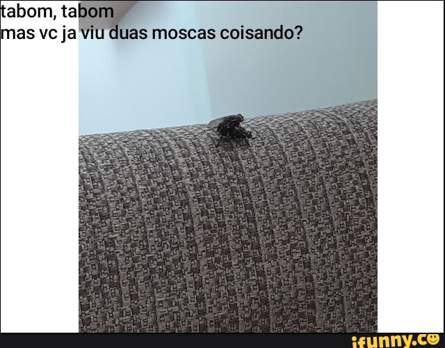 tabom, mas vc ja luas moscas coisando?