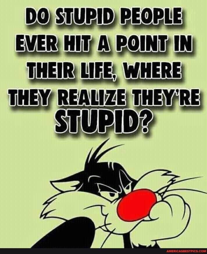 Stupid people