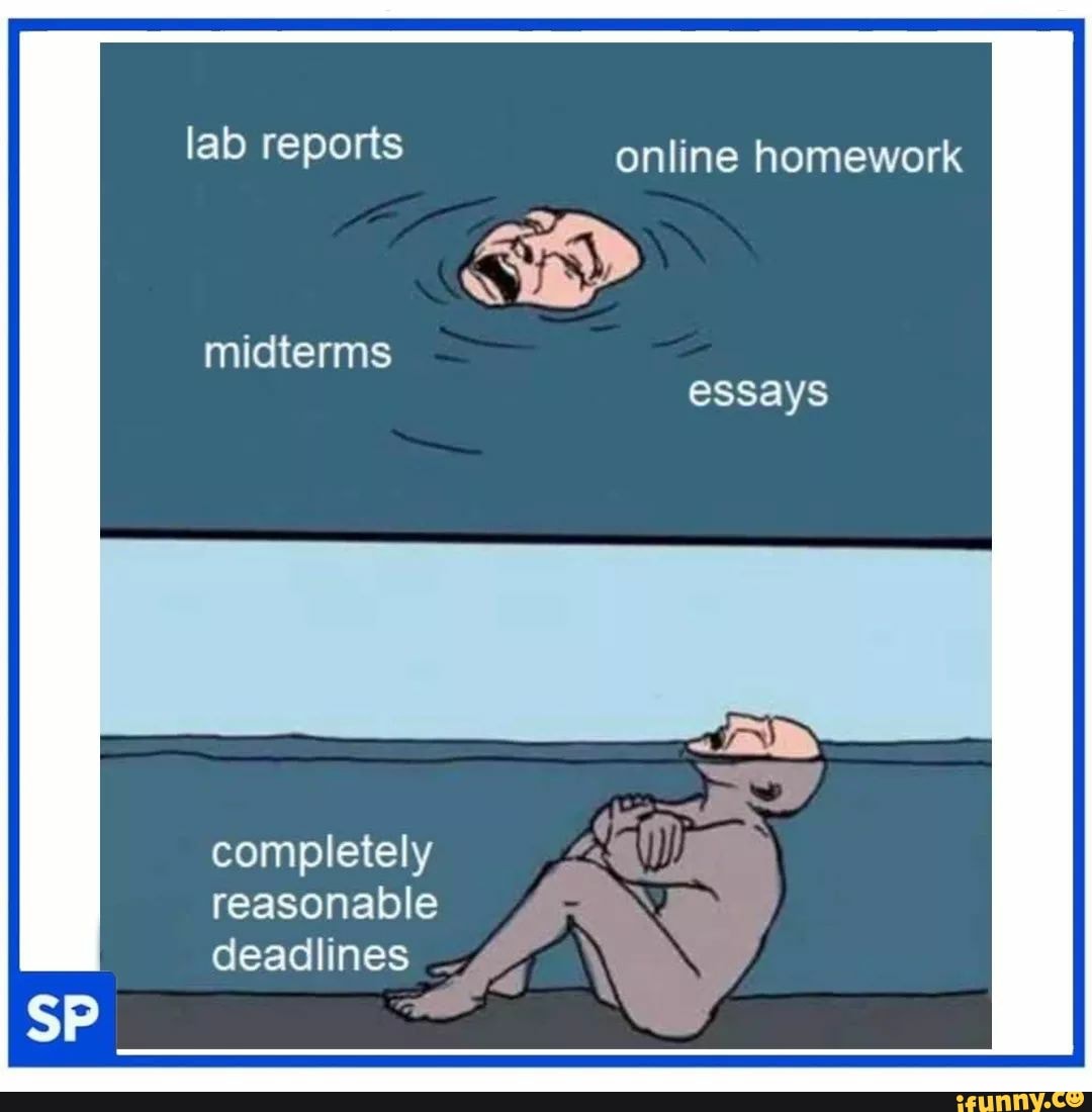 lab reports online homework
midterms essays
completely reasonable
I deadlines
SP