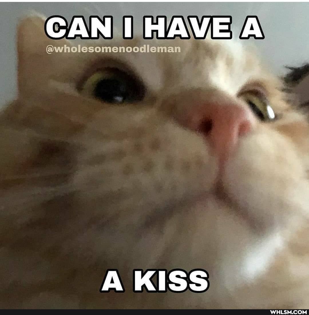 CAN HAVE A
@wholesomenoodieman
A KISS