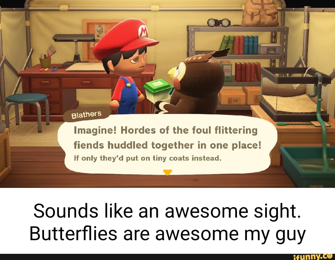 Blathers memes. Best Collection of funny Blathers pictures on iFunny