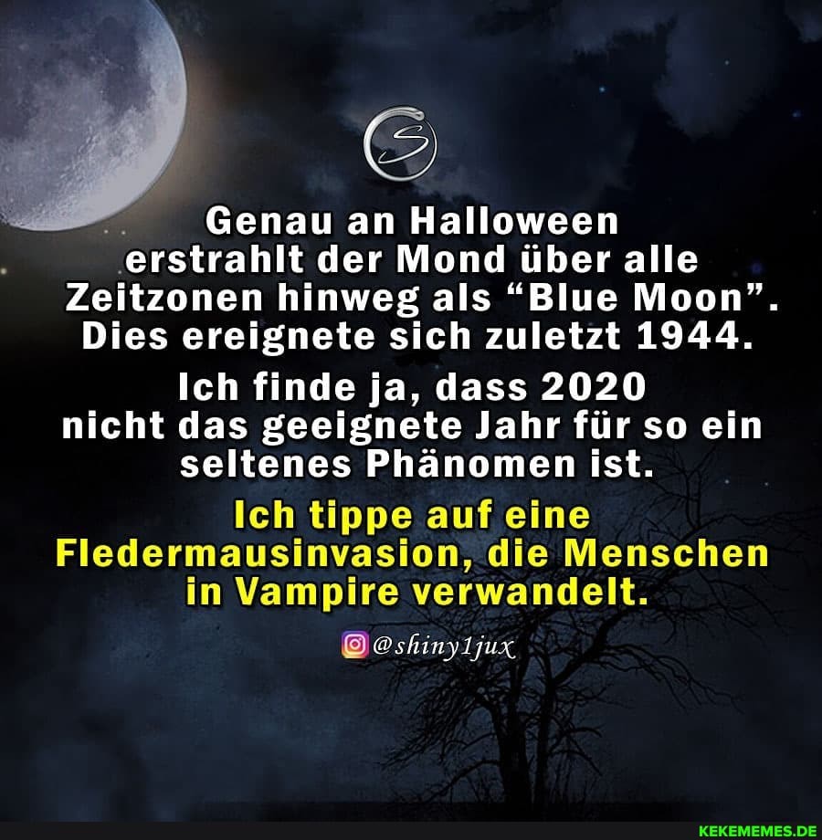 Genau an Halloween erstrahlt der Mond über alle
Zeitzonen hinweg als "Blue Moon".
Dies ereignete sich zuletzt 1944.
Ich finde ja, dass 2020 nicht das geeignete Jahr für so ein seltenes Phänomen ist.
Ich tippe auf eine
Fledermausinvasion, die Menschen in Vampire verwandelt.