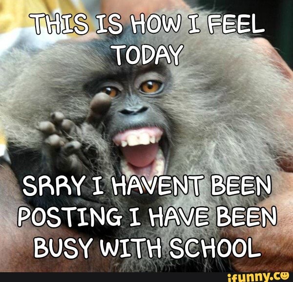 g wis IS HOW TODAY I FEEL TODAY
SRRY HAVENT BEEN POSTING I HAVE BEEN BUSY WITH SCHOOL