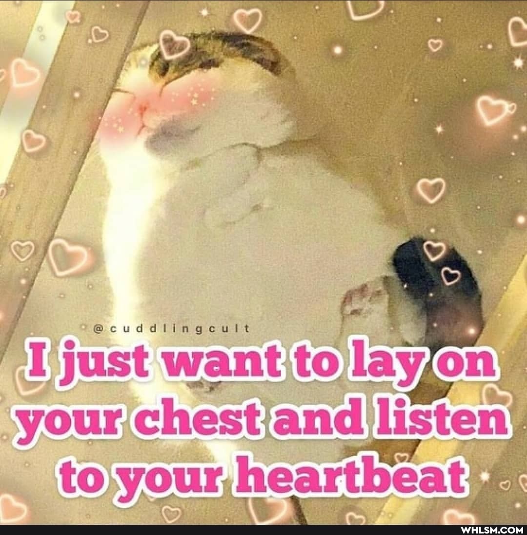 just want to ony