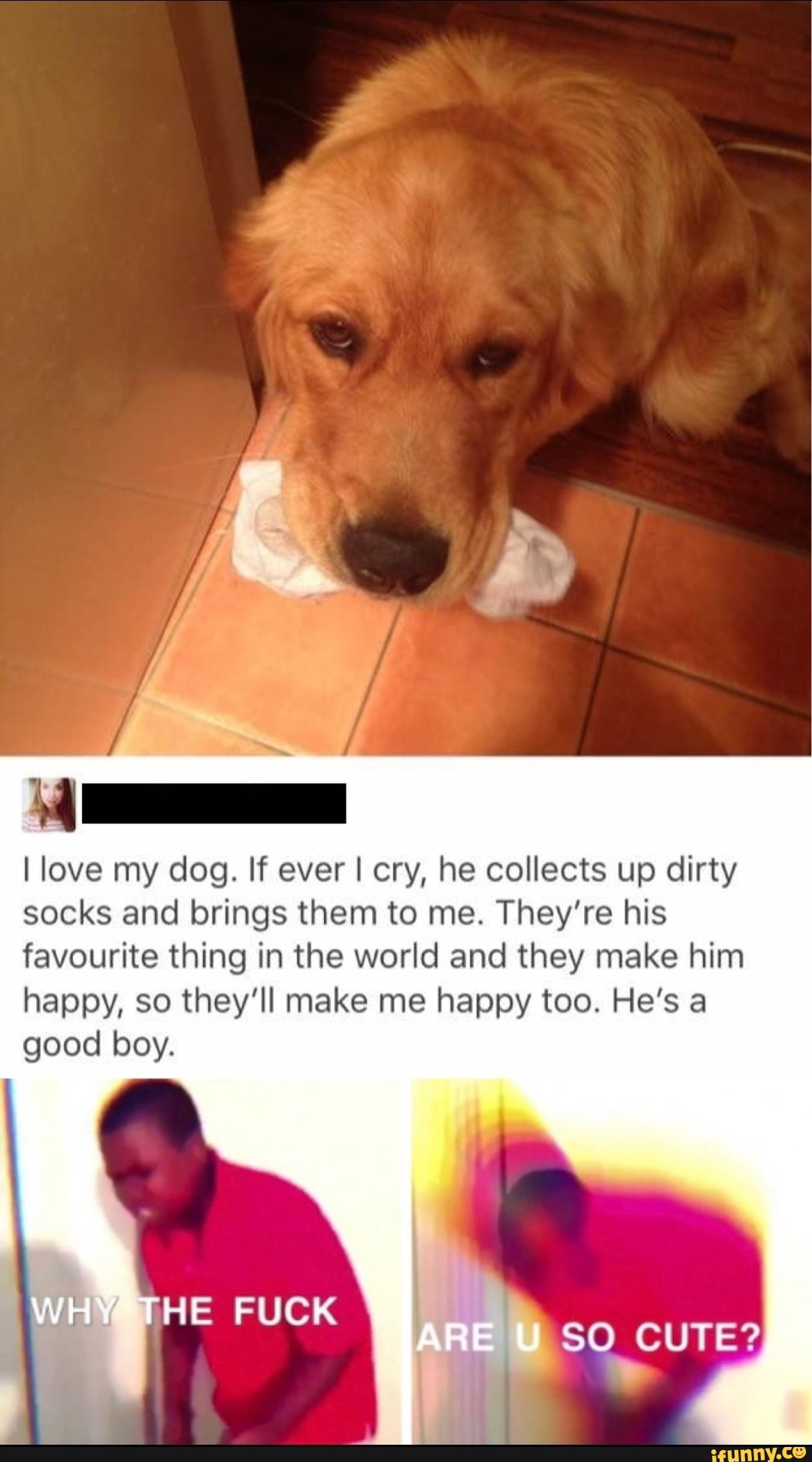 I love my dog. If ever I cry, he collects up dirty
socks and brings them to me. They're his
favourite thing in the world and they make him
happy, so they'll make me happy too. He's a
good boy.