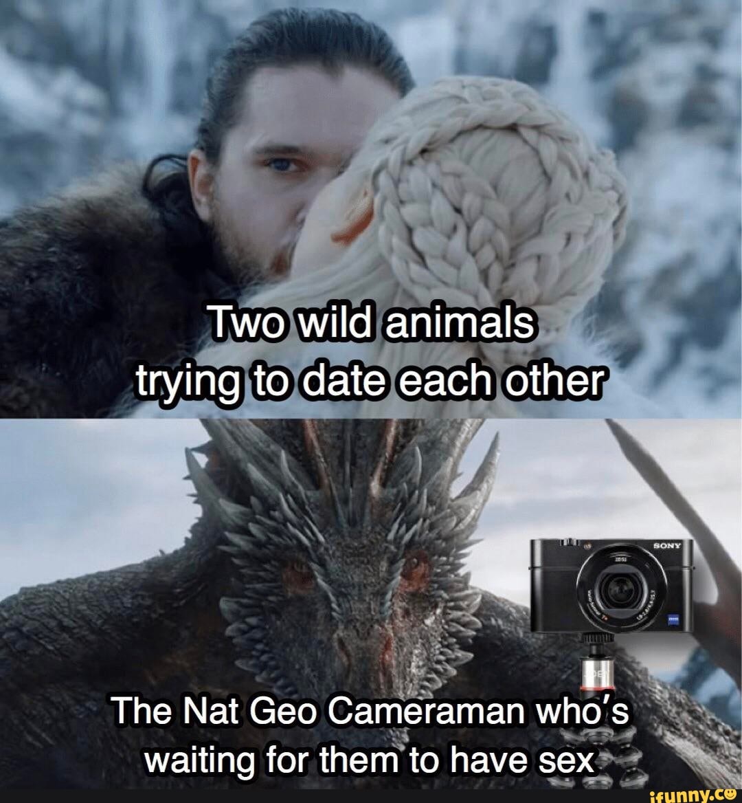The Nat Geo who's: waiting for them to have sex>