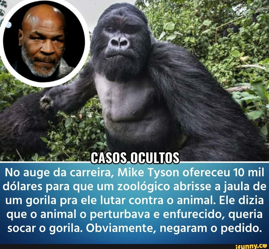 "CASOS. OCULTOS No auge da carreira, Mike Tyson ofereceu 10 mil dólares para que um zoológico abrisse a jaula de um gorila pra ele lutar contra o animal. Ele dizia que o animal o perturbava e enfurecido, queria socar o gorila. Obviamente, negaram o pedido.