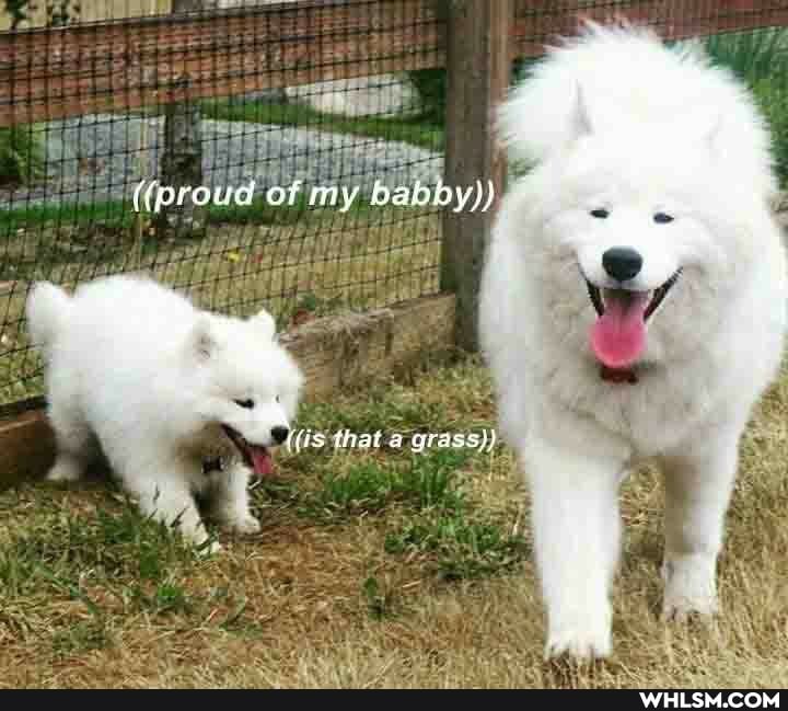 {(proud of my babby))
(fis that grass}}