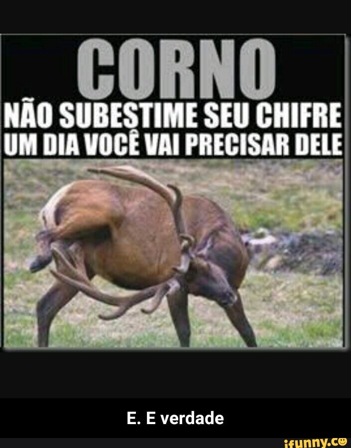 NÃO SUBESTIME SEU CHIFRE
UM DIA VOCÊ VAI PRECISAR DELE
E. E verdade - E. E verdade