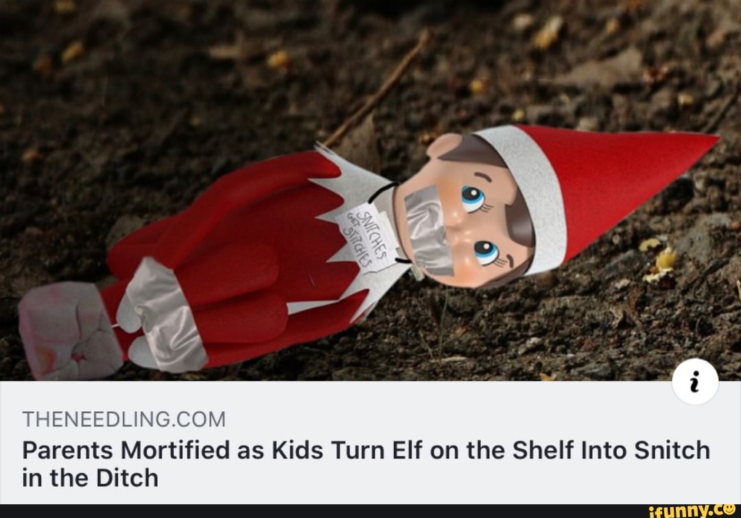 THENEEDLING.COM Parents Mortified as Kids Turn Elf on the Shelf Into Snitch...