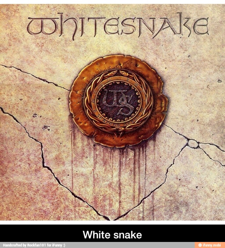 White snake - White snake