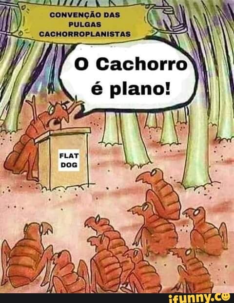 Ds
CONVENÇÃO DAS PULGAS
CACHORROPLANISTAS