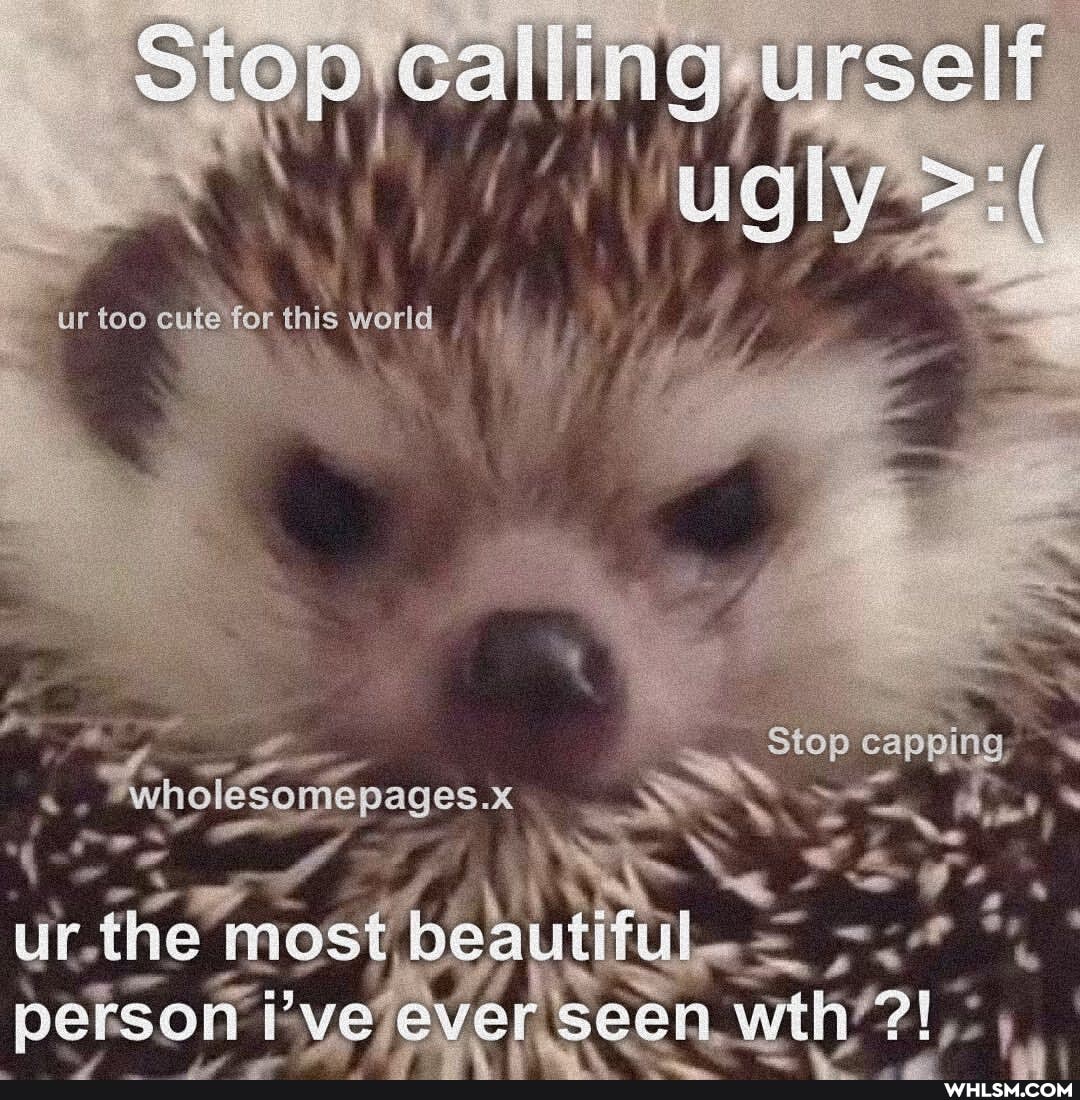 Stop calling urselt
ur too cute for this world
Stop capping
ole
somepages.x.
ur. the most person ve ever Seen- wih?