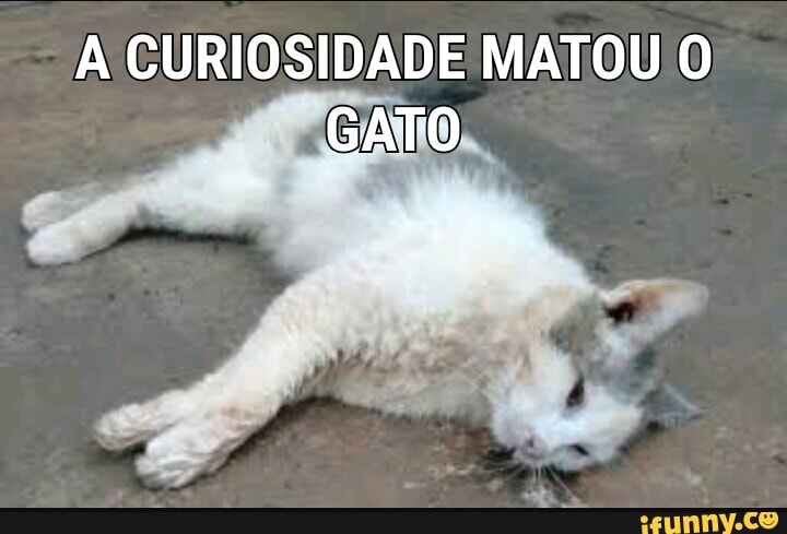 A CURIOSIDADE MATOU O