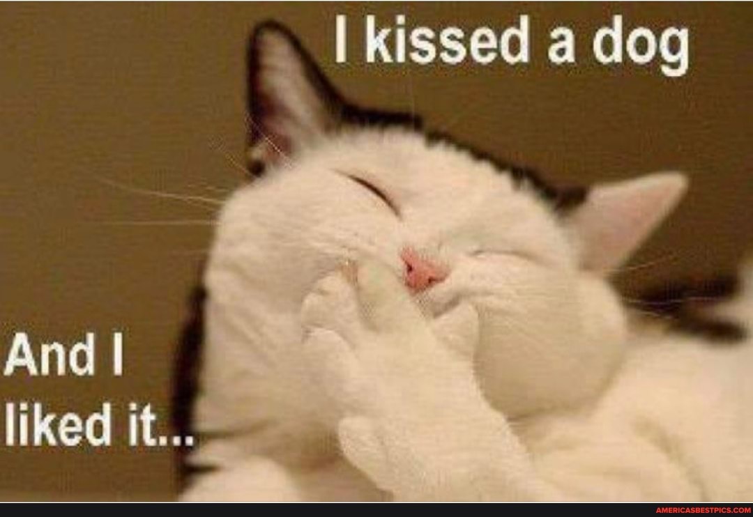 kissed a dog
And I liked it...