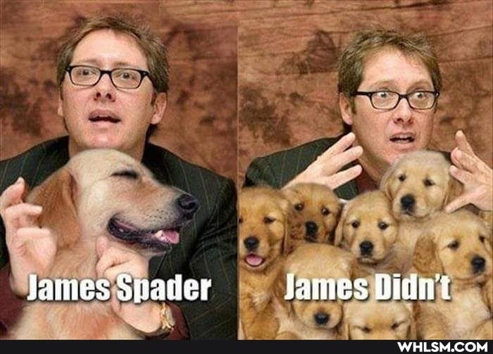 James Spader James Didni