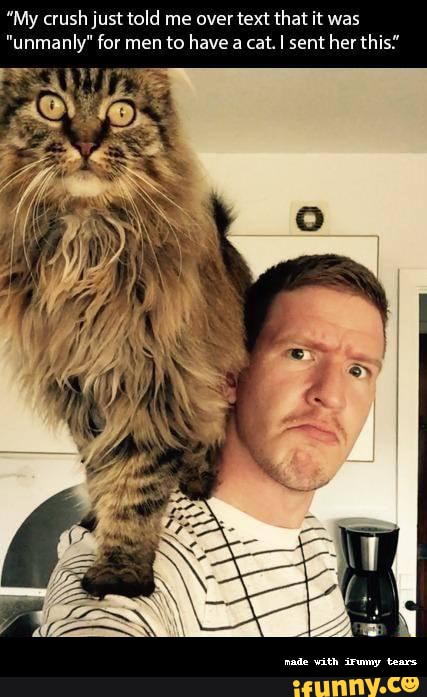 "My crush just told me over text that it was
"unmanly" for men to have a cat. I sent her this
nade vith irumy tears