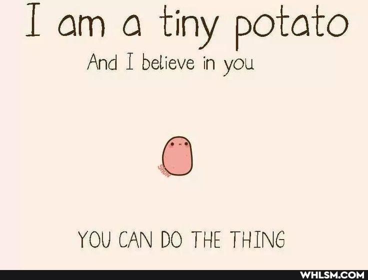 am a tiny potato
And I believe in you
YOU CAN DO THE THING