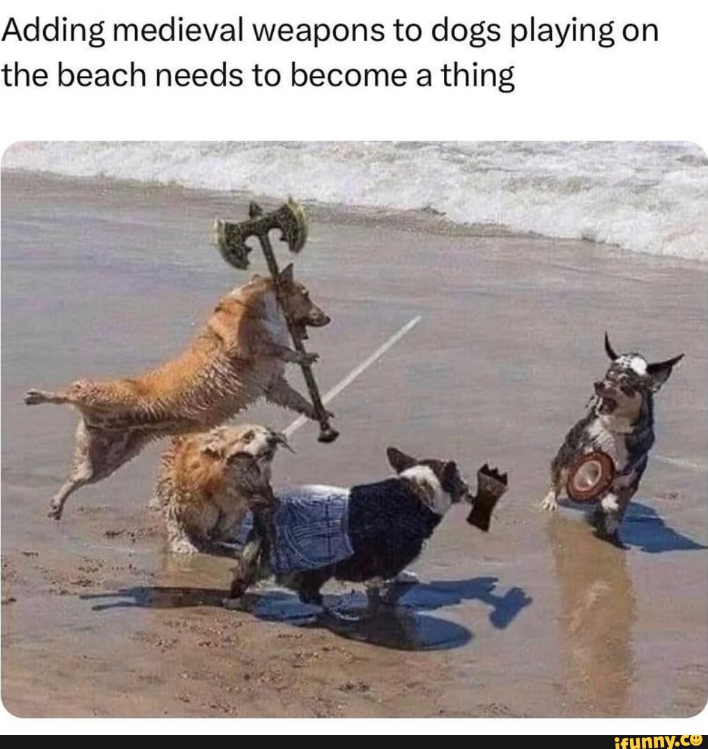 Adding medieval weapons to dogs playing on the beach needs to become a ...