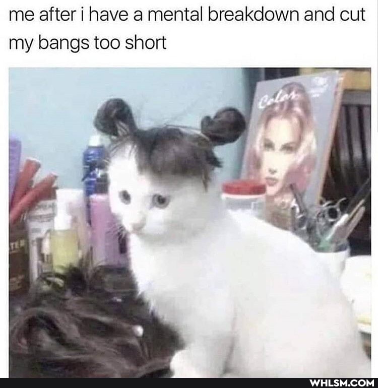 me after i have a mental breakdown and cut my bangs too short