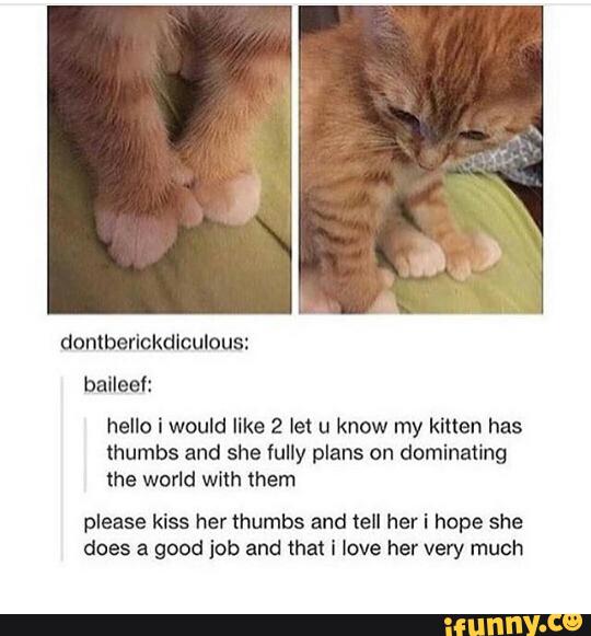 ballee':
hello i would like 2 let u know my kitten has
thumbs and she fully plans on dominating
the world with them
please kiss her thumbs and tell her i hope she
does a good job and that I love her very much