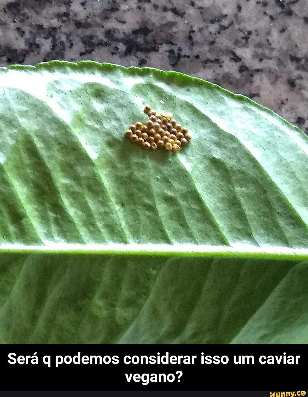 4
id
Será q podemos considerar isso um caviar
vegano? - Será q podemos considerar isso um caviar vegano?