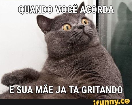 E'SUA MÃE JA TA GRITANDO