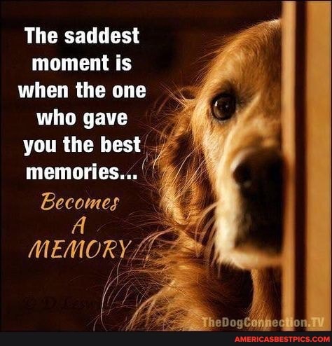 The saddest moment is when the one
who gave you the best .7 memories...
Becomes
MEMORY