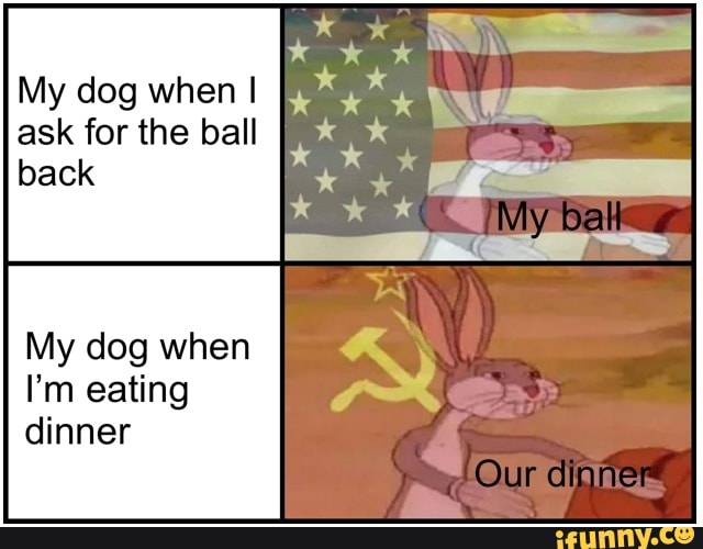 My dog when I
ask for the ball
My dog when
I'm eating
dinner