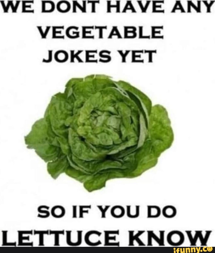 WE DONT HAVE ANY VEGETABLE JOKES YET SO IF YOU DO LETTUCE KNOW iFunny