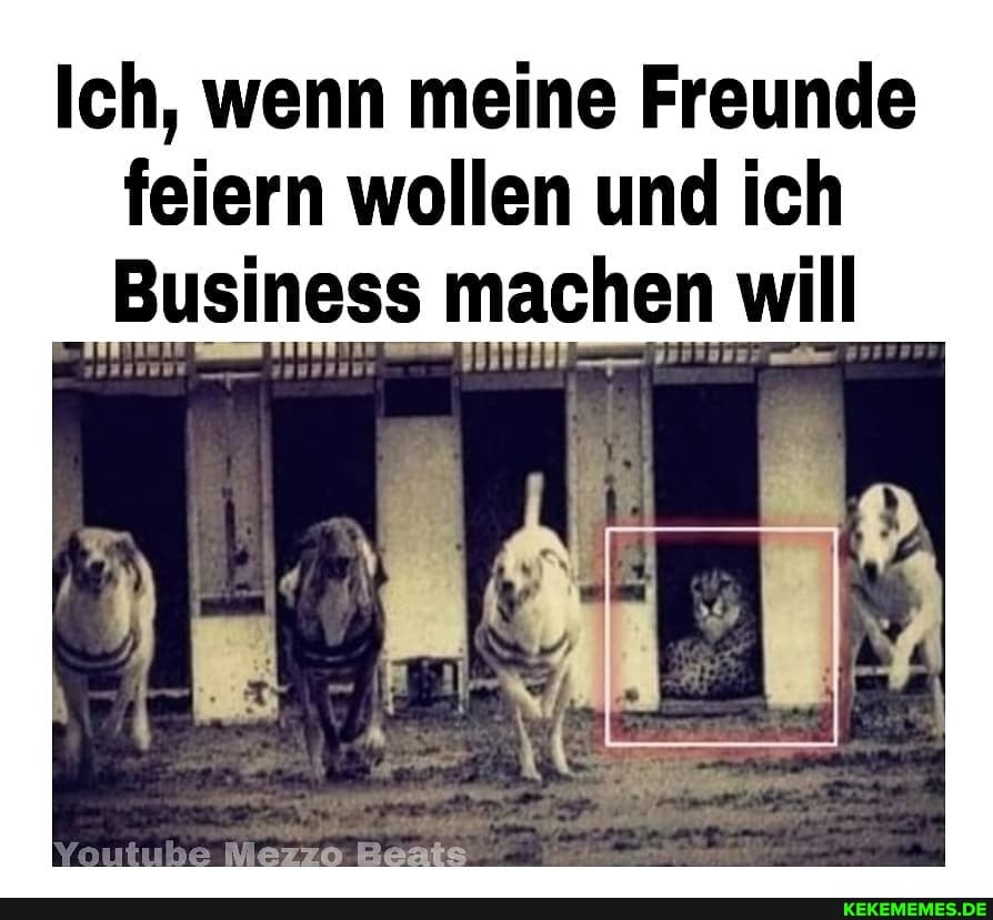 Ich, wenn meine Freunde feiern wollen und ich
Business machen will