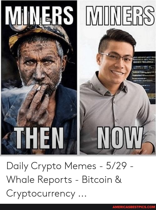 Daily Crypto Memes - - Whale Reports - Bitcoin&amp; Cryptocurrency - America&#39;s best pics and videos